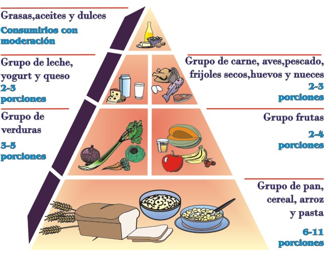 Pirámide de alimentos